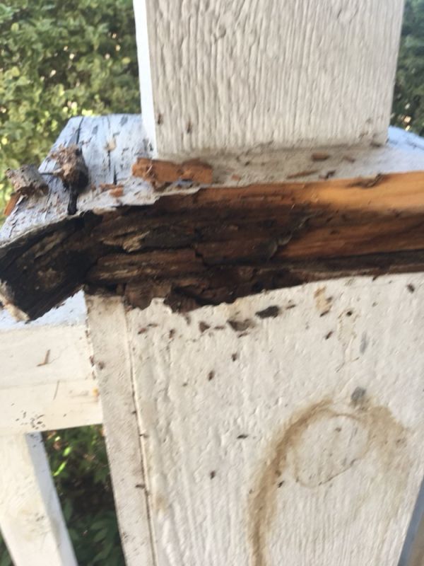 Damaged Siding Repair