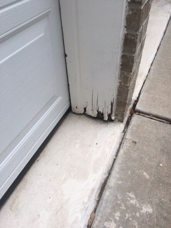 Window Trim Repair