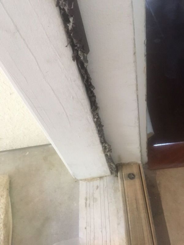 Window Trim Repair